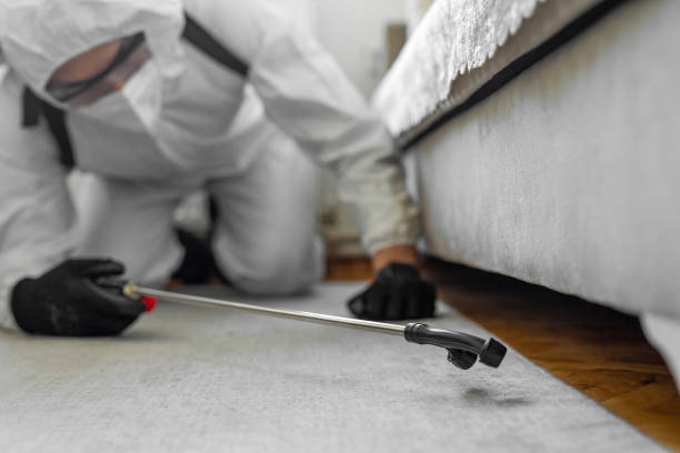 Professional Bed Bug Control technician working in East Dublin, GA