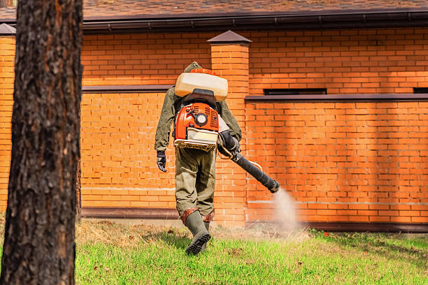 Trusted Ant Control service in East Dublin, GA - Nex Pest Control